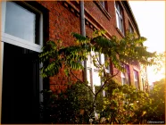 Abendstimmung auf dem Balkon