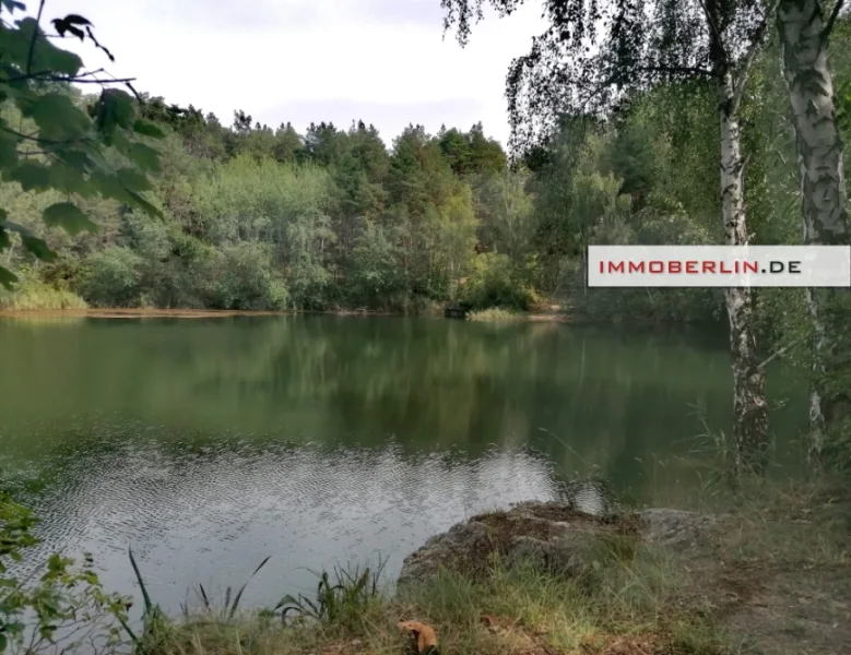 09.jpg - Haus kaufen in Am Mellensee - IMMOBERLIN.DE - Vier geschmackvoll sanierte Ferienhäuser & ein Bootshaus beim Waldsee in Sperenberg