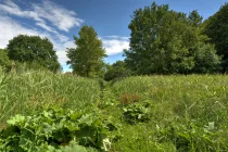  Landschaftsschutzgebiet am Teltowkanal