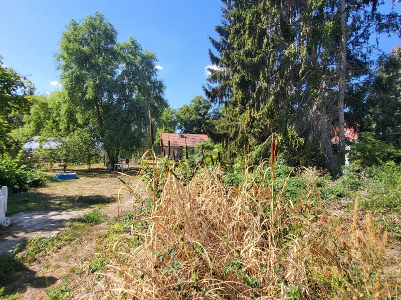 Blick auf Grundstück von hinten - Grundstück kaufen in Falkensee - Wohlfühllage: Malerisches Baugrundstück