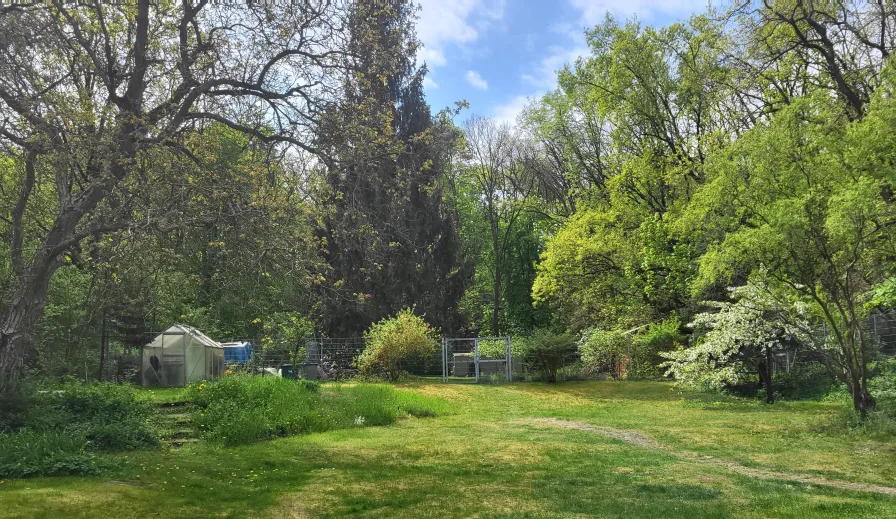 Ausblick in den Garten