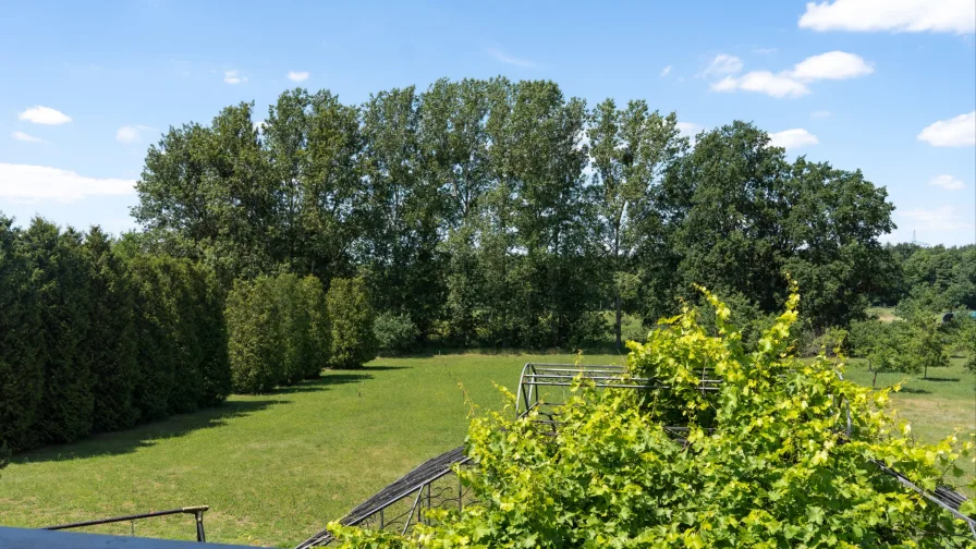 zauberhafter Balkonblick auf das Anwesen mit  Pergola am Haus  