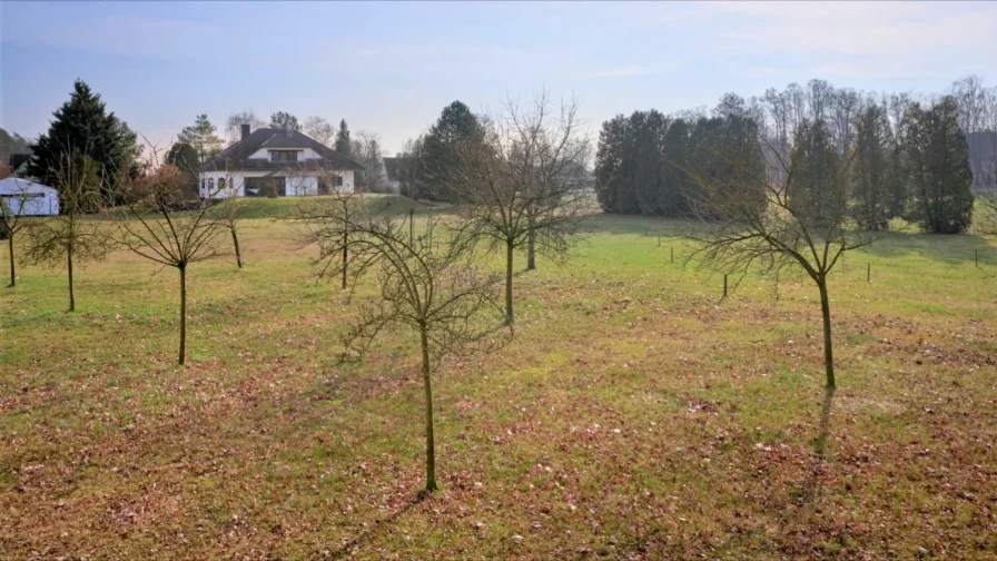 Blick vom Garten im Winter