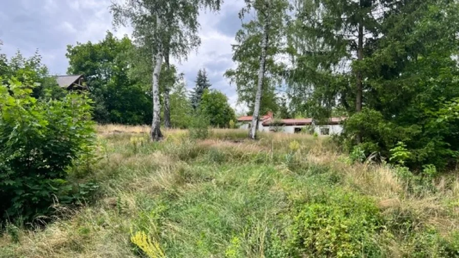 1 - Grundstück kaufen in Jamlitz - Baugrundstück mit Nebengebäude und ehemalige Baracke in Massivbauweise