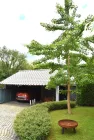 Carport, Hof und prächtiger Gingko