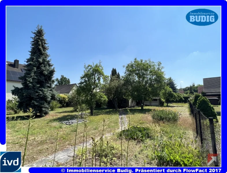 Blick auf das Grundstück - Grundstück kaufen in Hennickendorf - Nach Südosten ausgerichtetes Baugrundstück mit 23 Meter Straßenfront