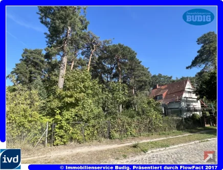 Blick von der Straße - Grundstück kaufen in Zossen, OT Dabendorf - Bauträgerfreies Grundstück in grüner Umgebung