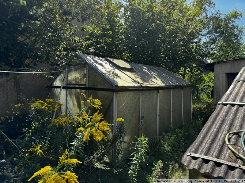 Blick in den lange ungenutzten Garten