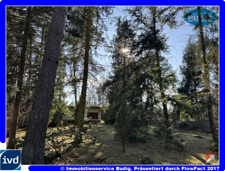 Blick von der Straße auf das Grundstück - Grundstück kaufen in Grünheide, OT Hangelsberg - Baugrundstück mit Südausrichtung - mit kleinem Sommerhaus bebaut