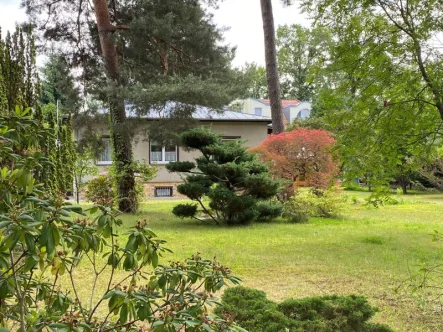 Auf dem Grundstück - Haus kaufen in Schöneiche bei Berlin - Wohlfühlhaus in Schöneiche