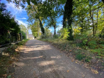 Straßenansicht - Grundstück kaufen in Woltersdorf - Steilhang in Kalkseenähe zu verkaufen