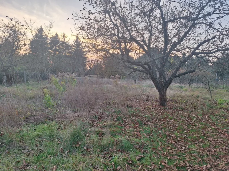 Blick auf das Grundstück