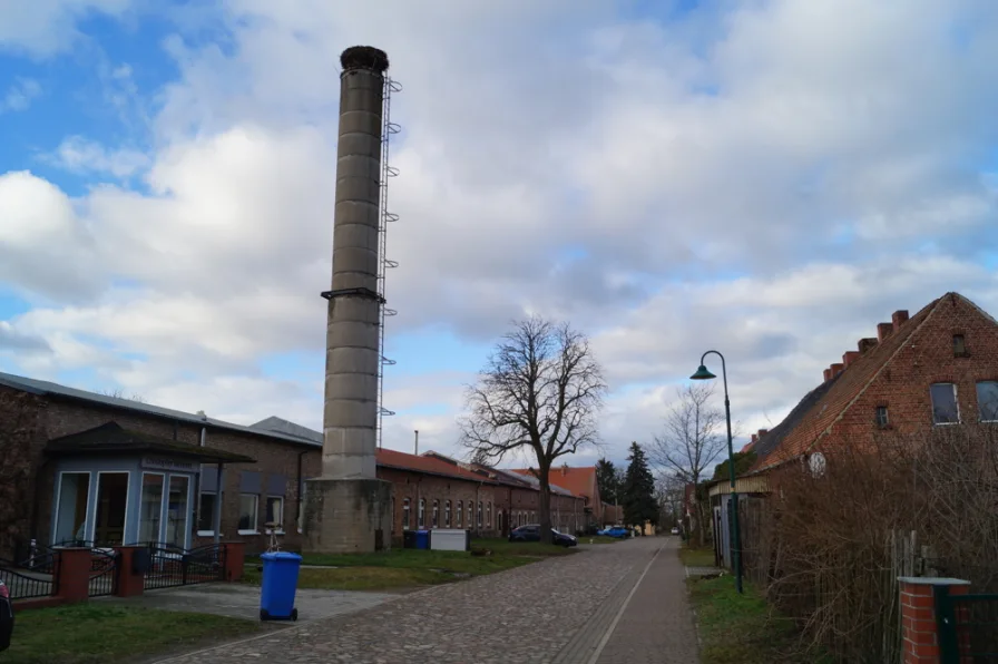 Anliegerstraße mit Storchenbrutstätte