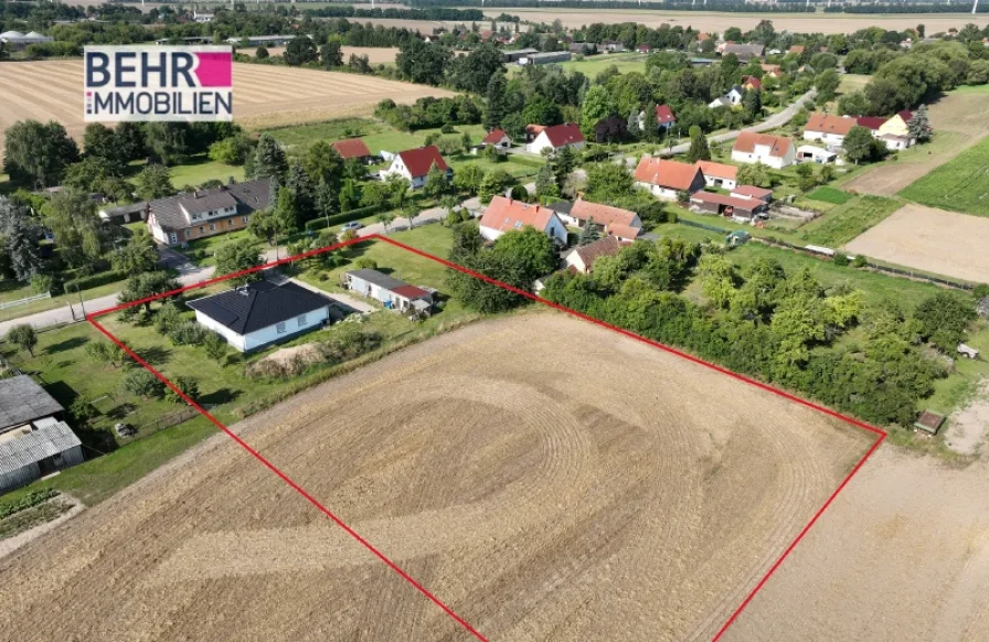 Traumgrundstück - Haus kaufen in Falkenberg OT Kruge - Einfach Einziehen und dann "Die eigene Parkanlage" gestalten