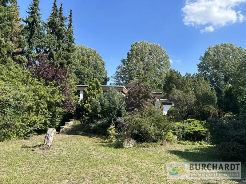 der Sonnengarten - Grundstück kaufen in Berlin - Traumhaftes erschlossenes Grundstück in Heiligensee