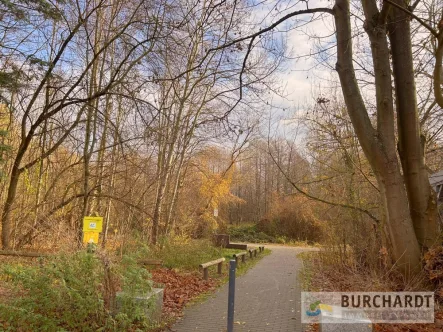 vor der Haustür - Grundstück kaufen in Glienicke/Nordbahn - Schöner wohnen geht nicht! Traumgrundstück am Naturschutzgebiet