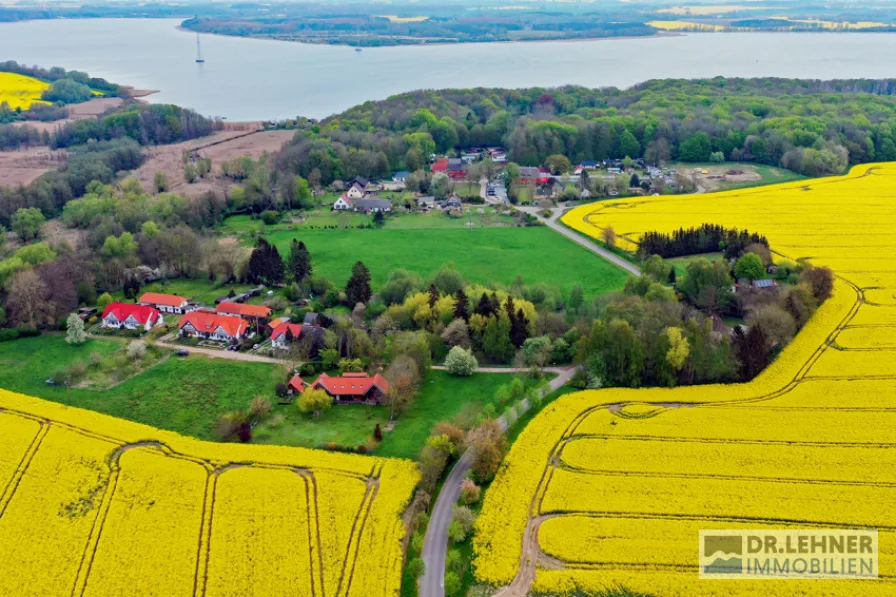 Haus kaufen bei Stralsund - Haus kaufen in Sundhagen - Dr. Lehner Immobilien NB -Das Besondere Angebot - Großzügiges Grundstück mit  attraktivem EFH am Sund