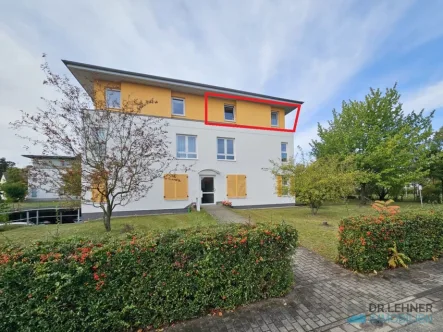 Eigentumswohnung kaufen in Neubrandenburg - Wohnung kaufen in Neubrandenburg - Dr. Lehner Immobilien NB -Vermietete Eigentumswohnung in ruhiger Lage von Neubrandenburg