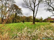 Panorama des Grundstückes mit Park im Hintergrund