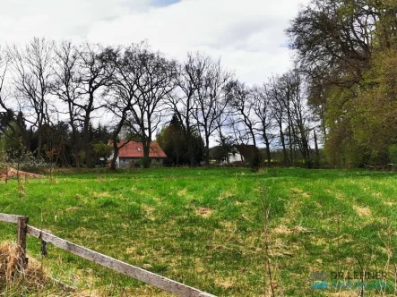 Baugrundstück kaufen bei Loitz - Grundstück kaufen in Loitz - Dr. Lehner Immobilien NB-Herrliches Baugrundstück am Park in Ortsrandlage