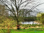 Teich im Park am Haus