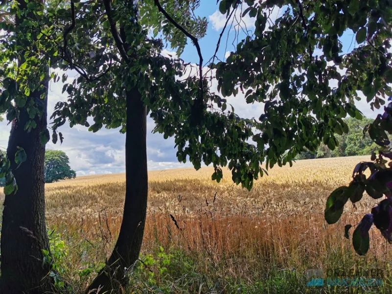 3,4 ha Pachtacker, Bodenwertzahl 45