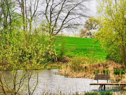 Haus kaufen bei Usedom - Haus kaufen in Murchin / Pinnow - Dr. Lehner Immobilien NB-Paradies vor der Insel mit 9,5 ha und Teich