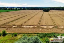 Blick auf Feld