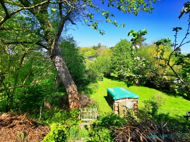 Blick in die angrenzende Wiesenaue