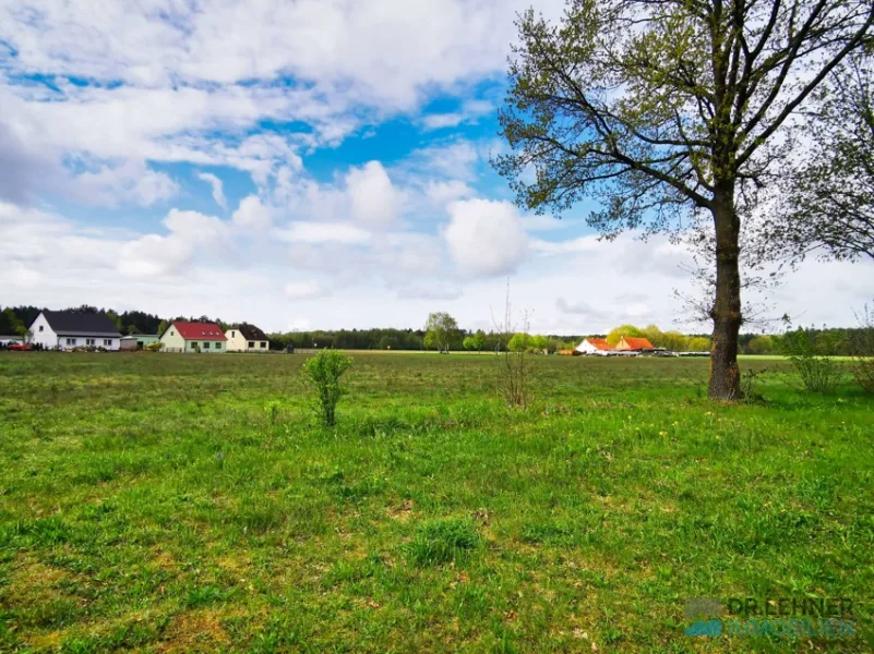 Ruhige Seitenstraße mit Blick vom Grundstück