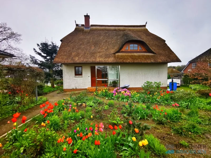 Blumen zu allen Jehreszeiten