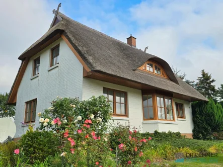 Haus kaufen bei Bad Doberan - Haus kaufen in Bad Doberan - Dr. Lehner Immobilien NB -Bei Bad Doberan- Modernes Reetdachhaus mit unverbautem Landschaftsblick