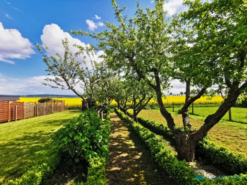 Blick über den Garten in die Landschaft