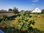 Garten von der Terrasse aus