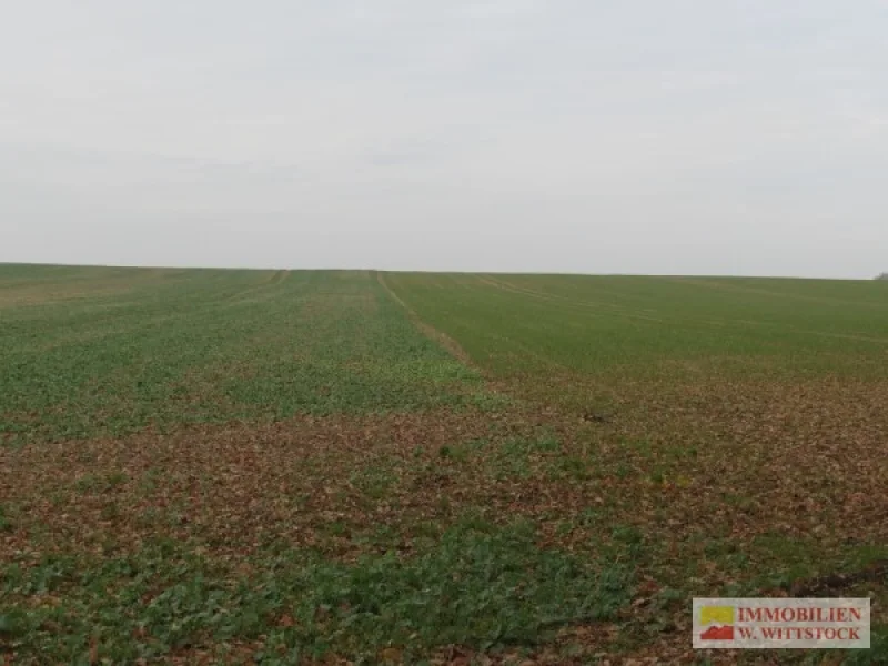 Acker - Land- und Forstwirtschaft kaufen in Marienfließ / Stepenitz - 6,2080 ha landwirtschaftliche Nutzflächen in Stepenitz