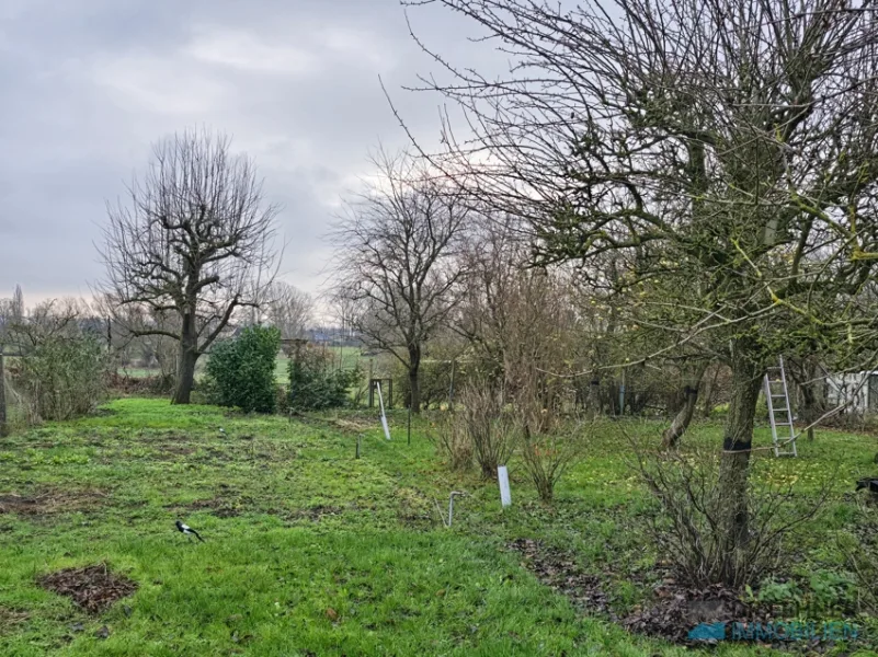 Garten mit zahlreichen Obstbäumen