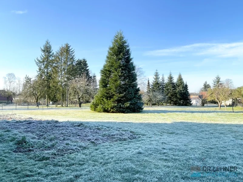 Gartenbereich mit Obstbaumwiese