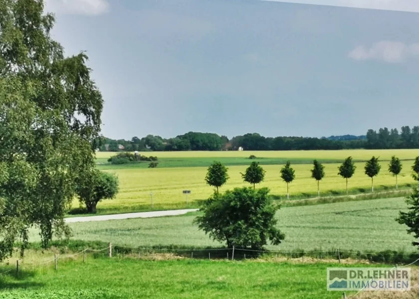 Blick aus dem Dachfenster