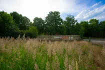 Garten vorn am Haus