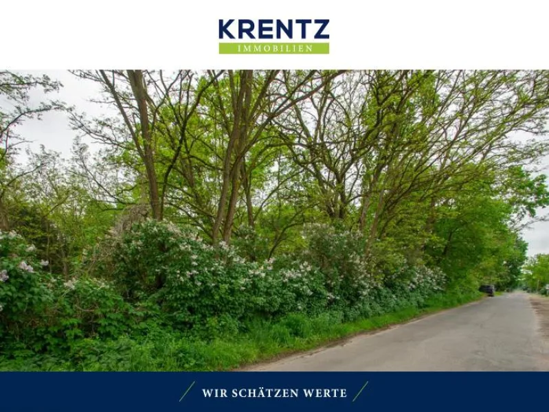 Ansicht - Grundstück kaufen in Groß Kreutz - Viel Platz für Ihr Bauprojekt im Grünen