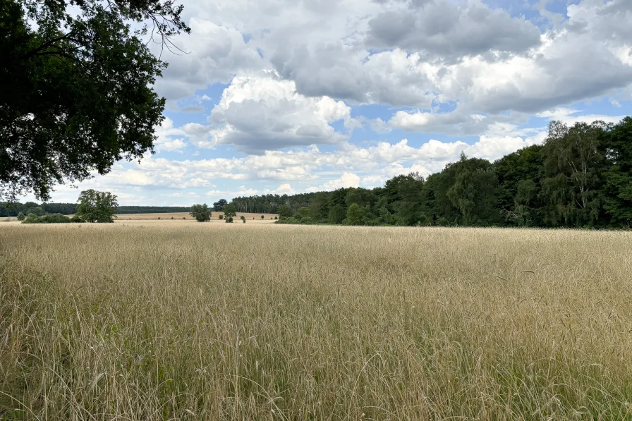 Das Feld direkt daneben