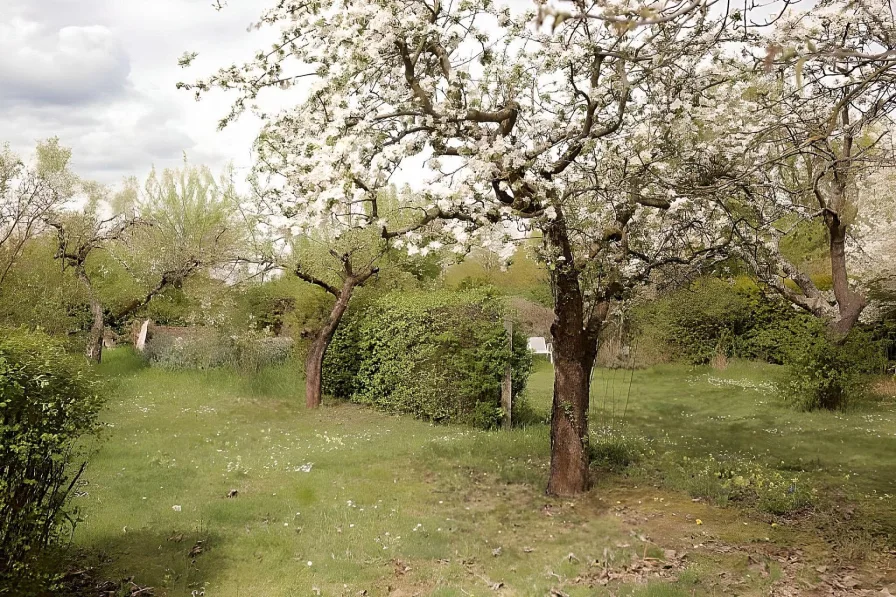 Gartenblick