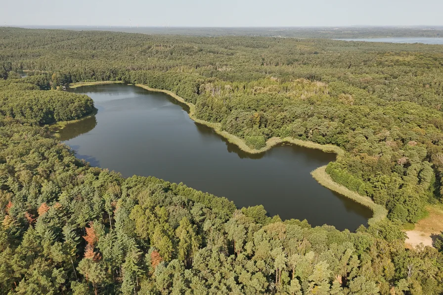 Der Lienewitzsee