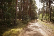 Borkheide Natur pur