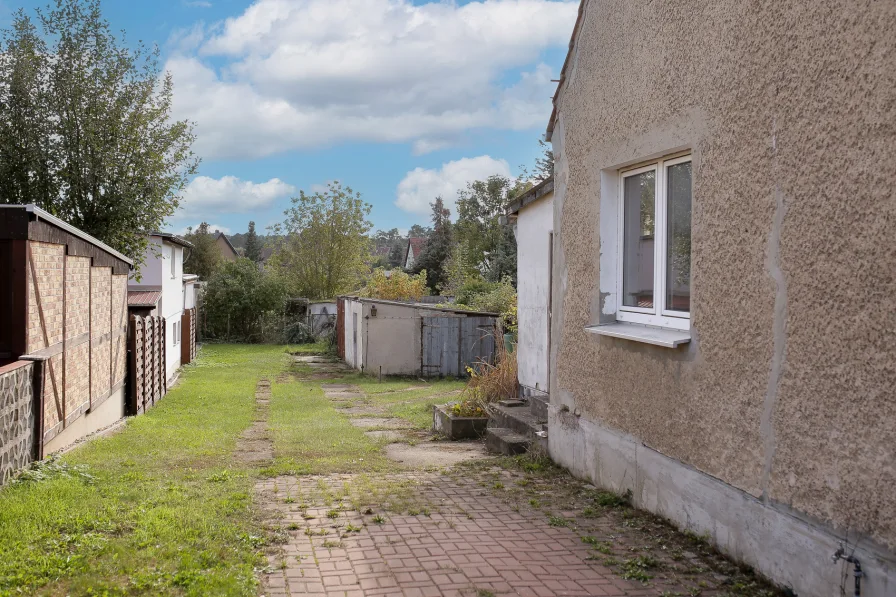 Blick in den Garten