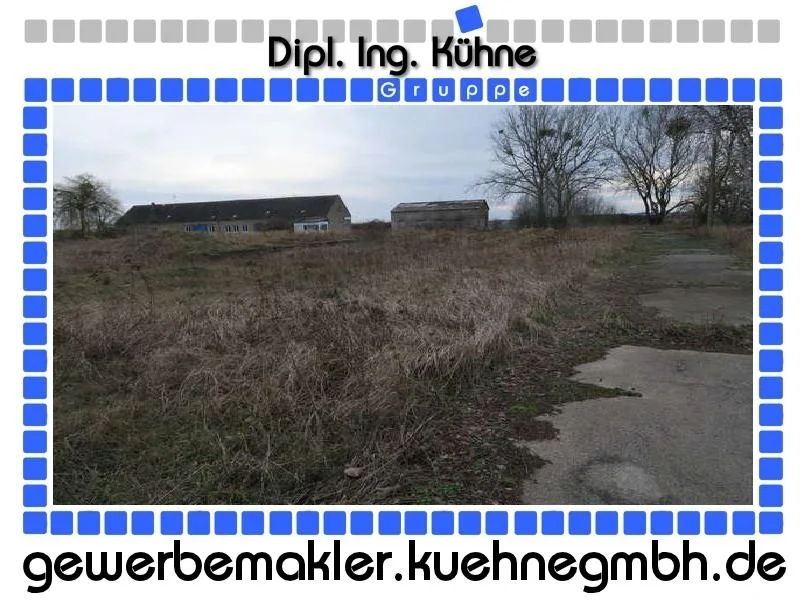 Bild 1 - Land- und Forstwirtschaft mieten in Angermünde - Prov.-frei: Grundstück mit Doppelhalle und Freifläche