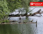 Natur und Stadt laden ein