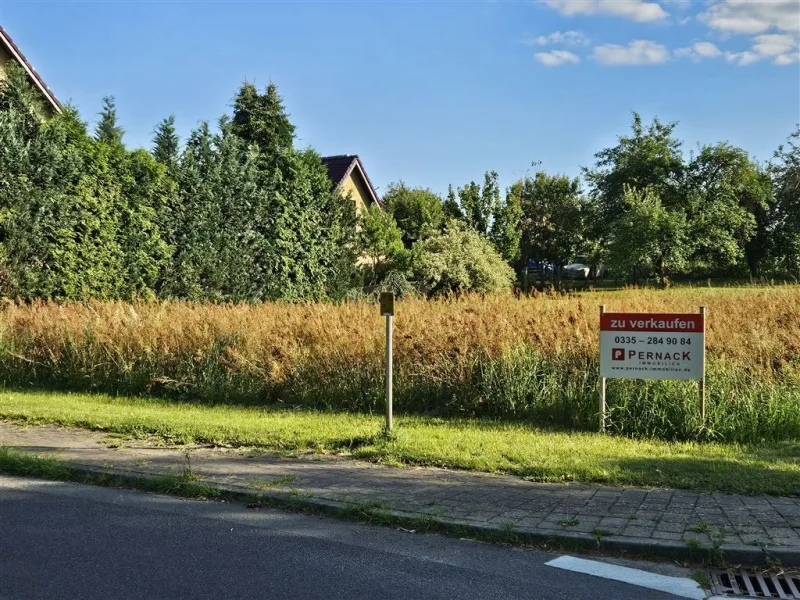 Gut planbar - Grundstück kaufen in Behrensdorf - Unweit vom Scharmützelsee