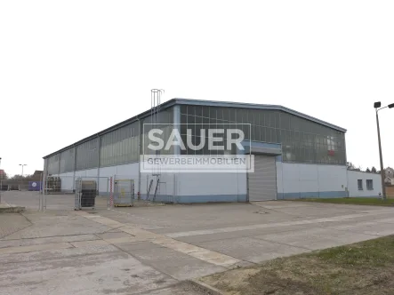 Halle 5 - Halle/Lager/Produktion mieten in Berlin - 1.450 m² ebenerdige Kaltlagerhalle an der B1/B5 *1613*