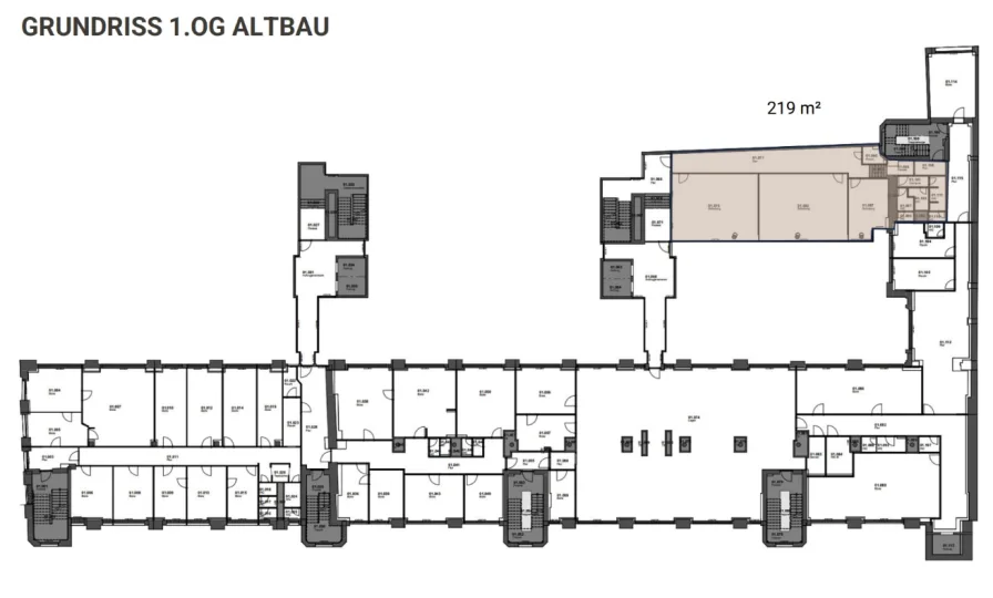 1. OG Altbau 219 m²